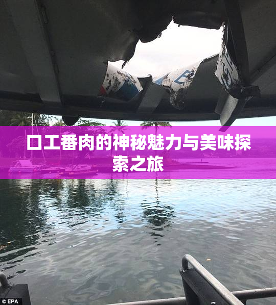 口工番肉的神秘魅力与美味探索之旅