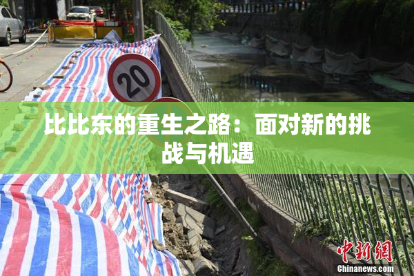 比比东的重生之路：面对新的挑战与机遇