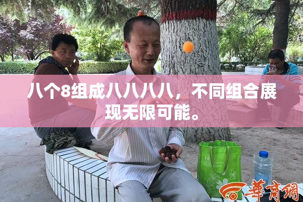 八个8组成八八八八，不同组合展现无限可能。