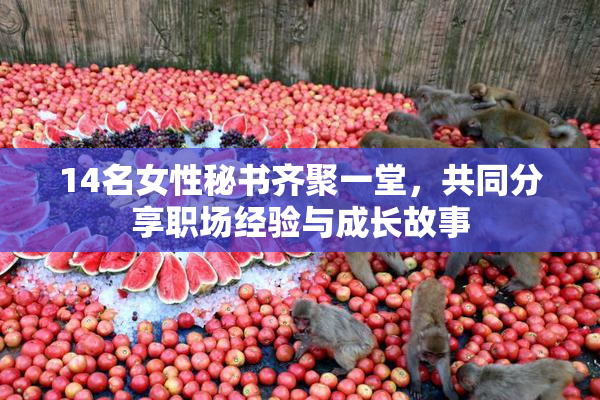14名女性秘书齐聚一堂，共同分享职场经验与成长故事