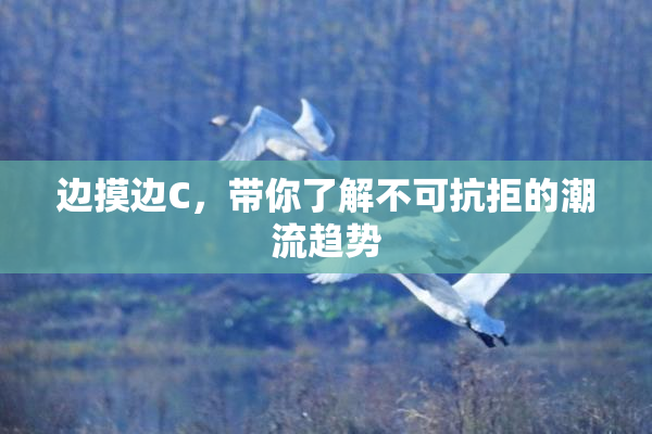 边摸边C，带你了解不可抗拒的潮流趋势