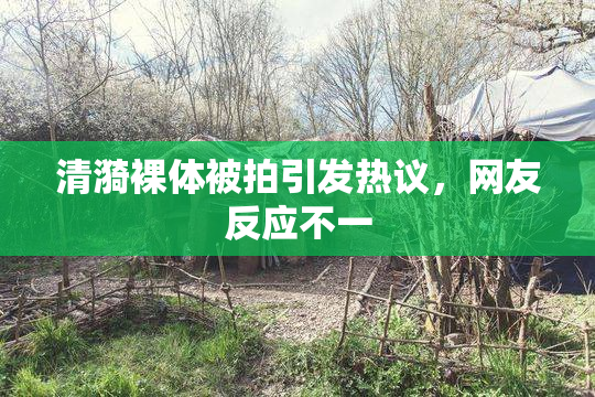 清漪裸体被拍引发热议，网友反应不一