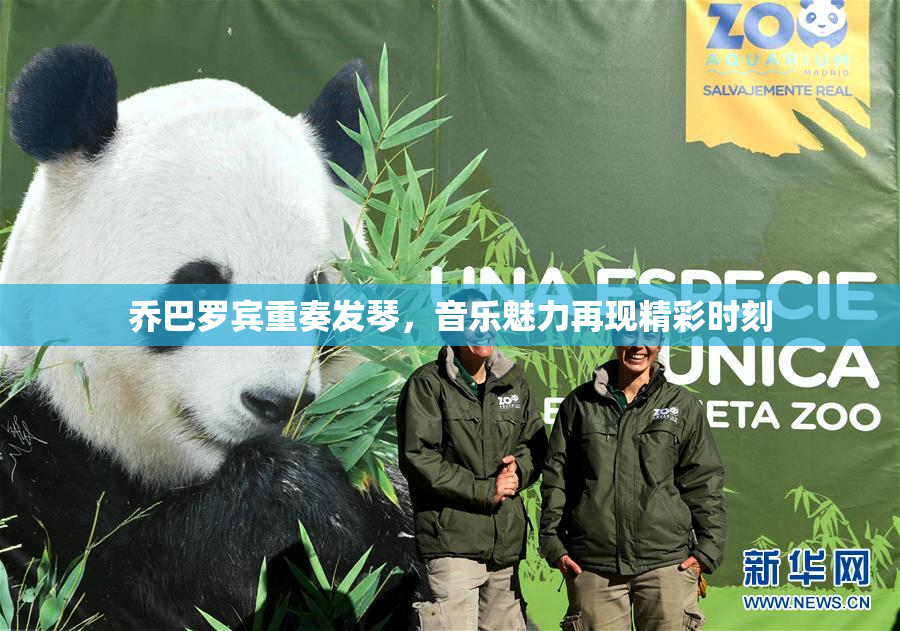 乔巴罗宾重奏发琴，音乐魅力再现精彩时刻