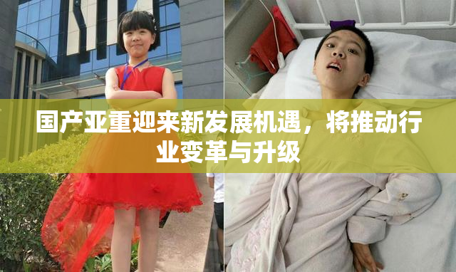国产亚重迎来新发展机遇，将推动行业变革与升级