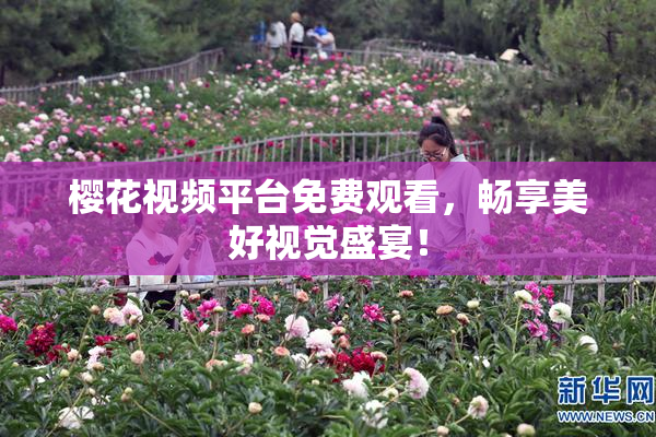 樱花视频平台免费观看，畅享美好视觉盛宴！