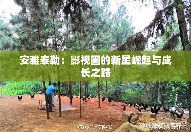 安雅泰勒：影视圈的新星崛起与成长之路