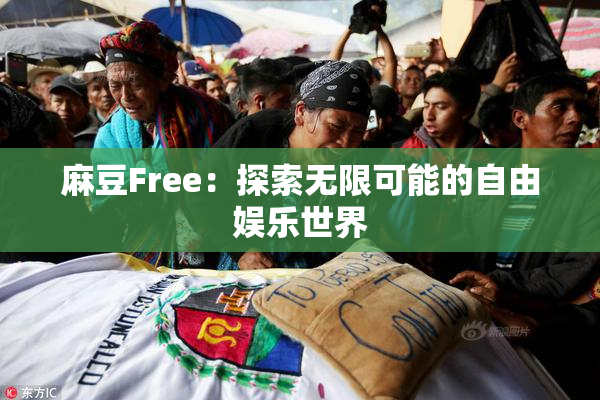麻豆Free：探索无限可能的自由娱乐世界