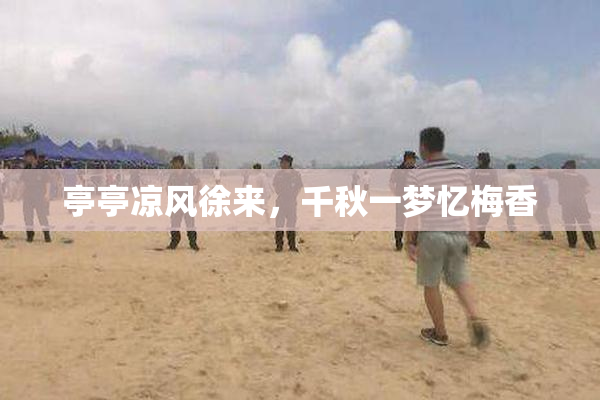 亭亭凉风徐来，千秋一梦忆梅香