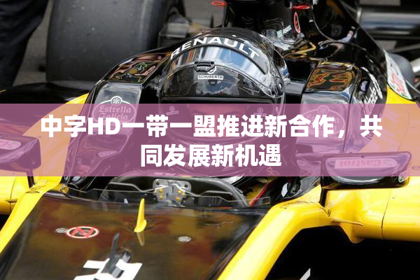中字HD一带一盟推进新合作，共同发展新机遇