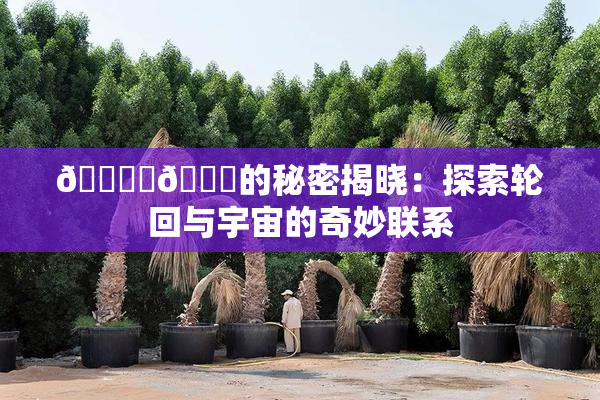 🔞‌🍌的秘密揭晓：探索轮回与宇宙的奇妙联系