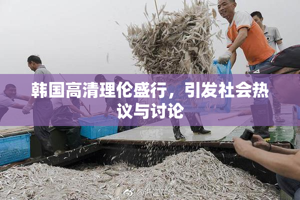 韩国高清理伦盛行，引发社会热议与讨论
