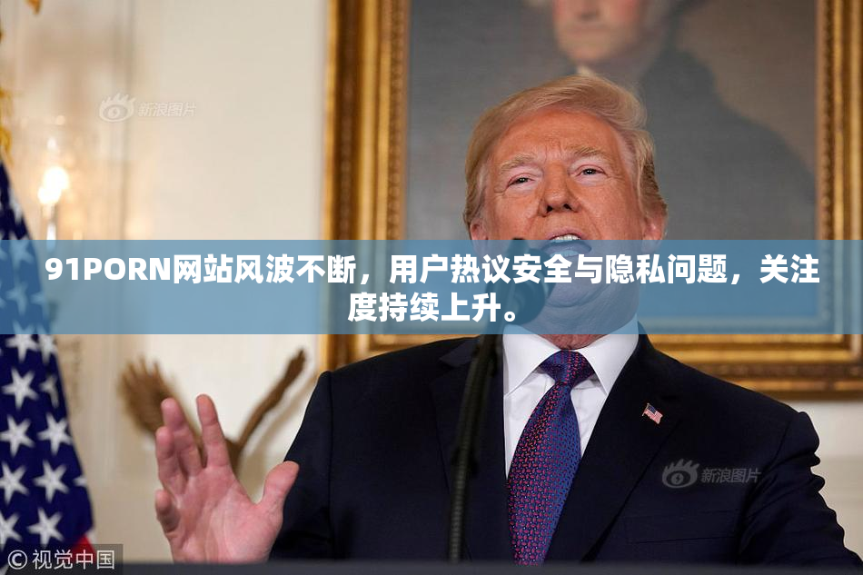 91PORN网站风波不断，用户热议安全与隐私问题，关注度持续上升。