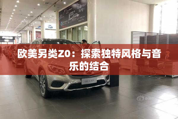 欧美另类Z0：探索独特风格与音乐的结合