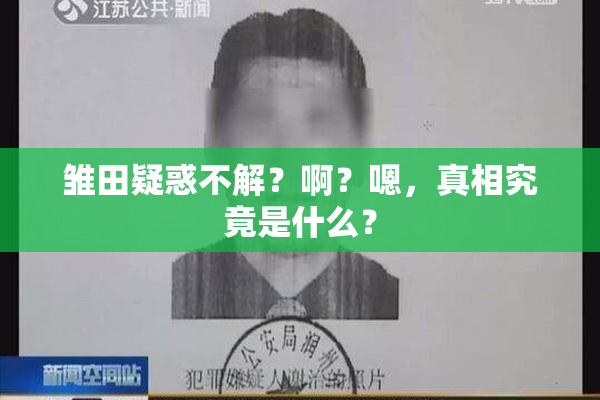 雏田疑惑不解？啊？嗯，真相究竟是什么？