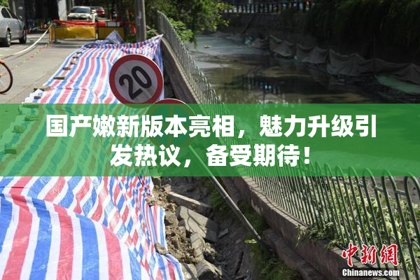 国产嫩新版本亮相，魅力升级引发热议，备受期待！