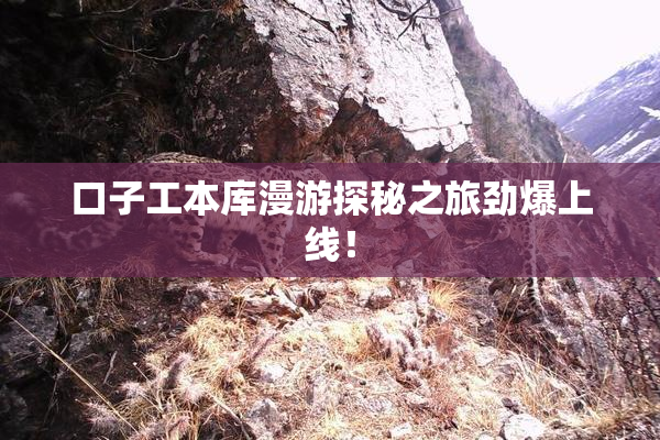 口子工本库漫游探秘之旅劲爆上线！