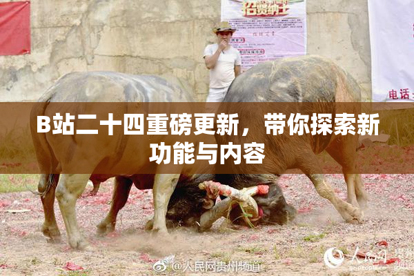B站二十四重磅更新，带你探索新功能与内容