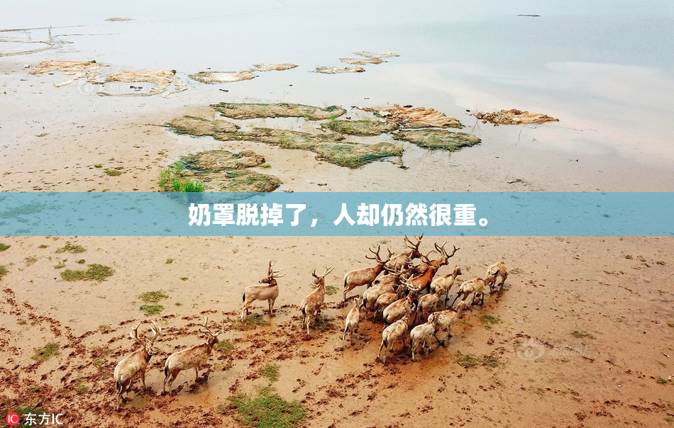 奶罩脱掉了，人却仍然很重。