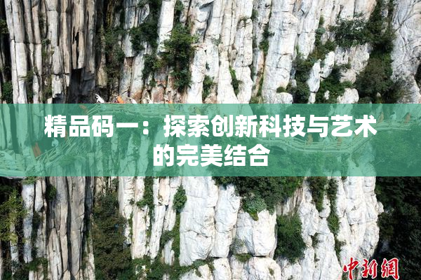 精品码一：探索创新科技与艺术的完美结合