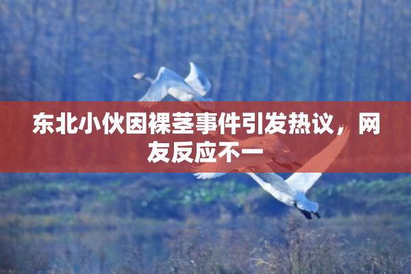 东北小伙因裸茎事件引发热议，网友反应不一