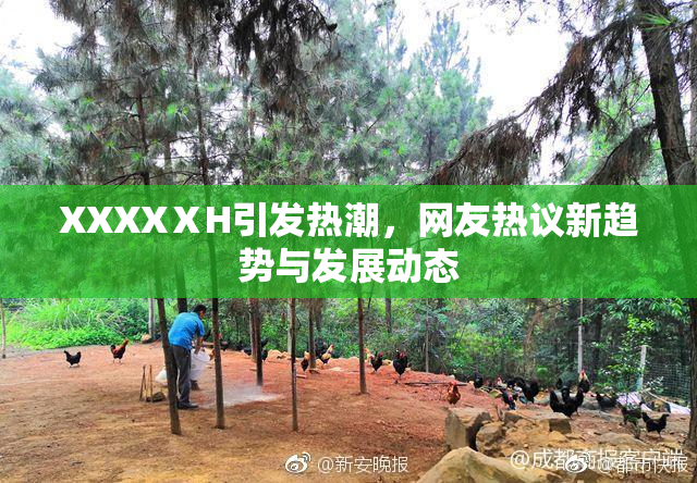 XXXXⅩH引发热潮，网友热议新趋势与发展动态