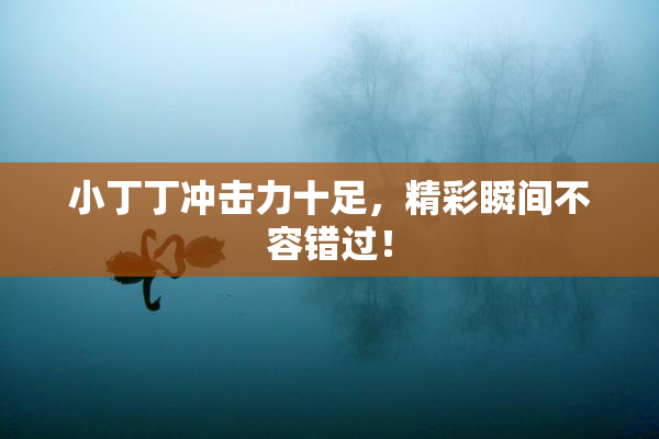 小丁丁冲击力十足，精彩瞬间不容错过！