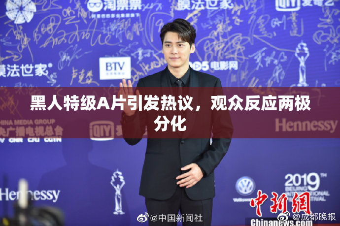 黑人特级A片引发热议，观众反应两极分化