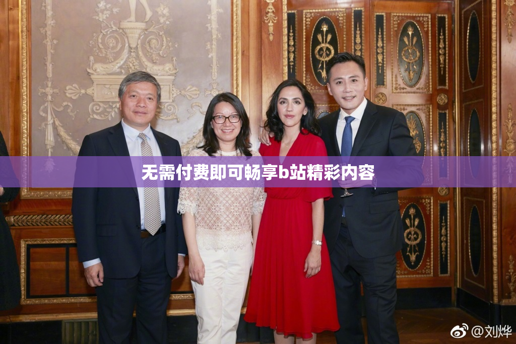 无需付费即可畅享b站精彩内容