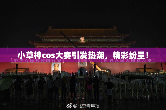 小草神cos大赛引发热潮，精彩纷呈！