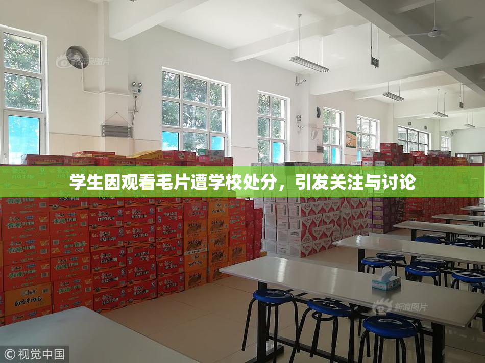 学生因观看毛片遭学校处分，引发关注与讨论