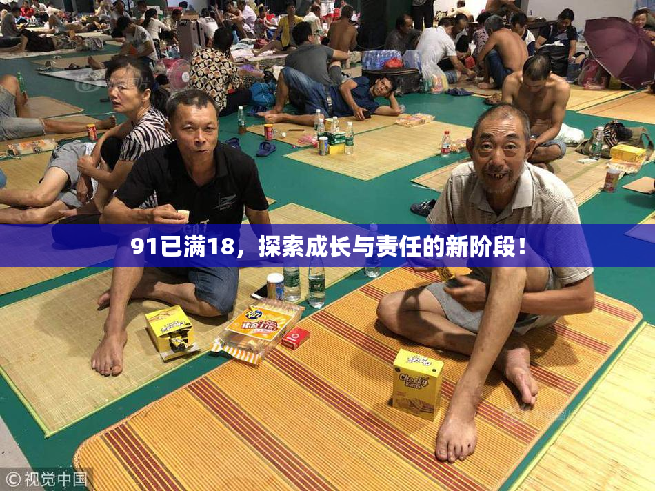 91已满18，探索成长与责任的新阶段！