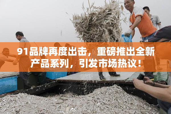 91品牌再度出击，重磅推出全新产品系列，引发市场热议！