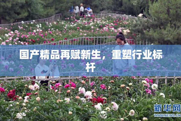 国产精品再赋新生，重塑行业标杆