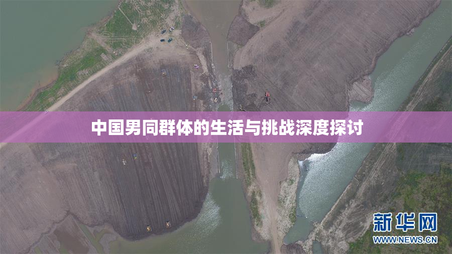 中国男同群体的生活与挑战深度探讨