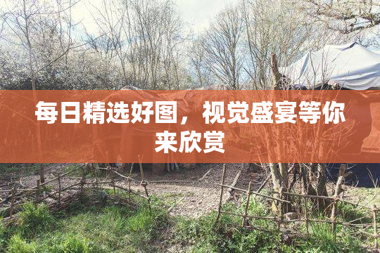 每日精选好图，视觉盛宴等你来欣赏