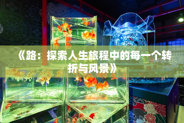 《路：探索人生旅程中的每一个转折与风景》