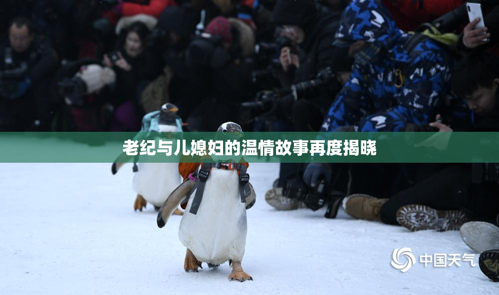 老纪与儿媳妇的温情故事再度揭晓