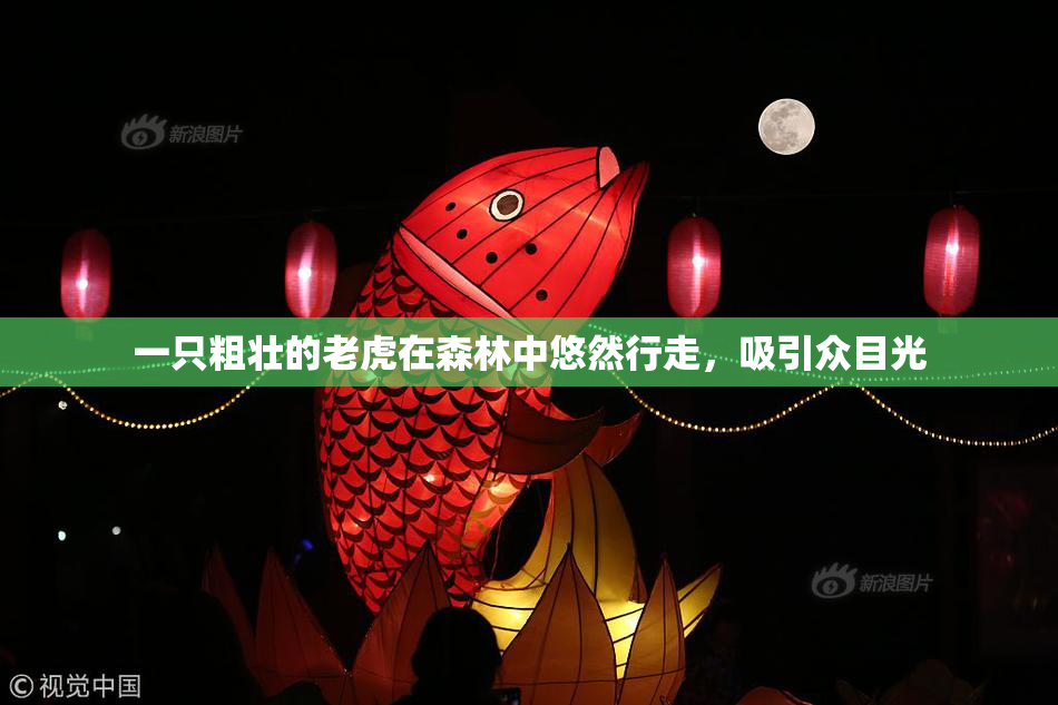 一只粗壮的老虎在森林中悠然行走，吸引众目光