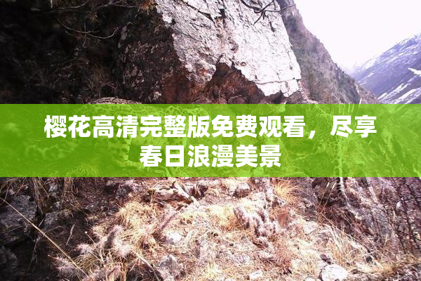 樱花高清完整版免费观看，尽享春日浪漫美景
