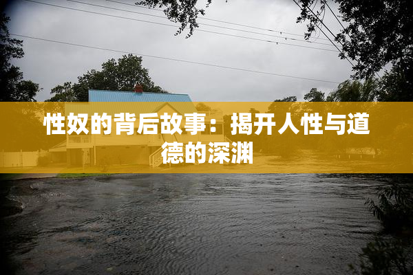 性奴的背后故事：揭开人性与道德的深渊