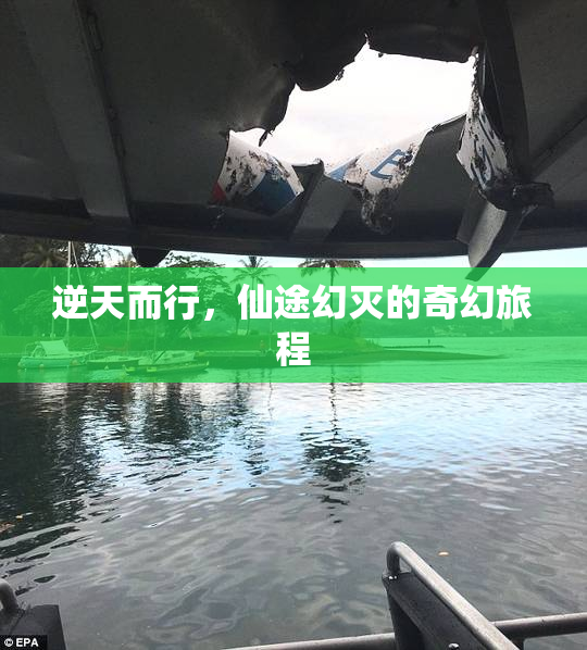 逆天而行，仙途幻灭的奇幻旅程