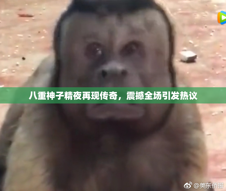 八重神子精夜再现传奇，震撼全场引发热议