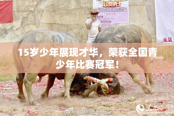 15岁少年展现才华，荣获全国青少年比赛冠军！