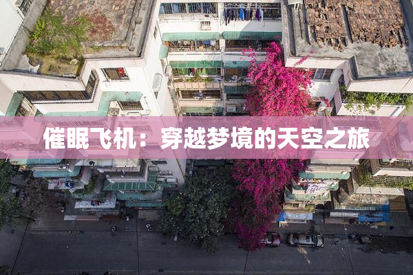 催眠飞机：穿越梦境的天空之旅