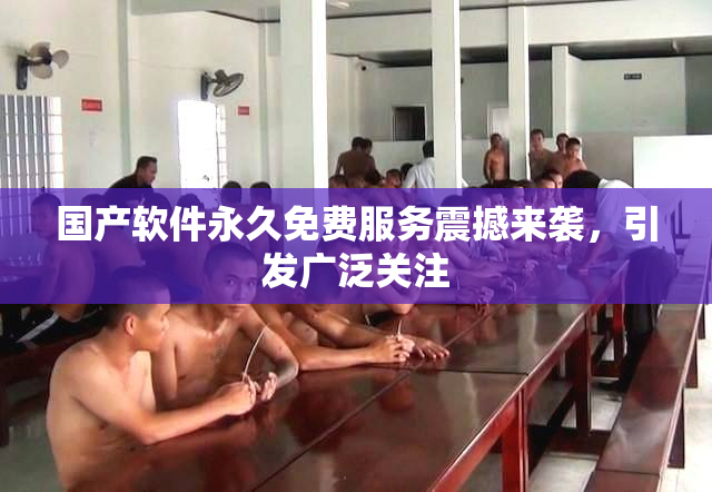 国产软件永久免费服务震撼来袭，引发广泛关注