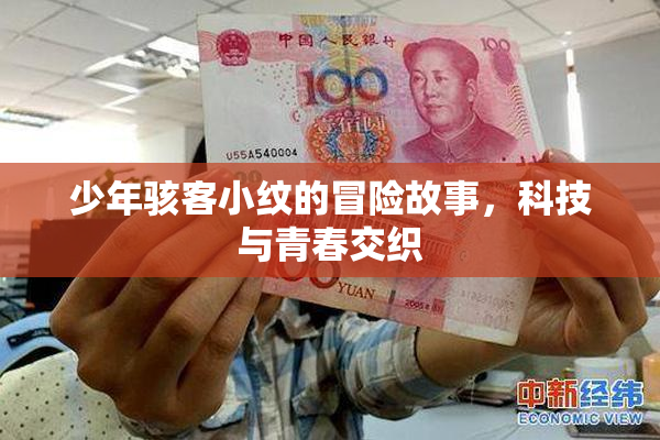 少年骇客小纹的冒险故事，科技与青春交织