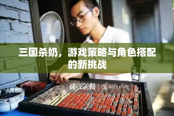三国杀奶，游戏策略与角色搭配的新挑战