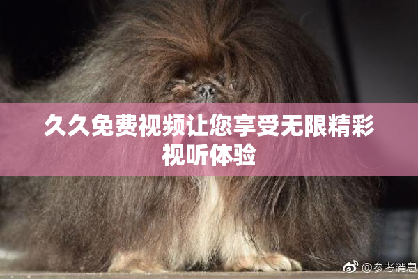 久久免费视频让您享受无限精彩视听体验