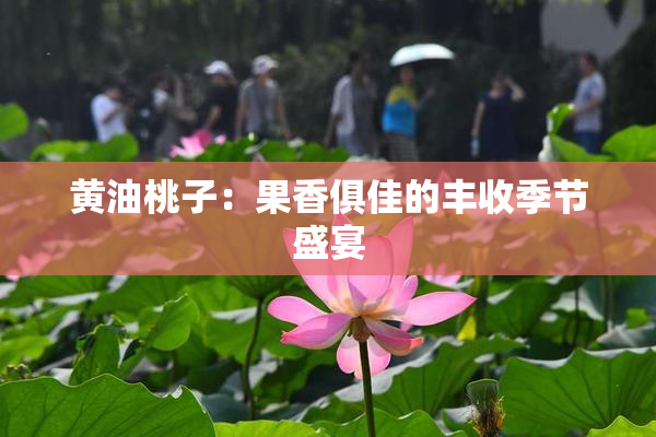 黄油桃子：果香俱佳的丰收季节盛宴