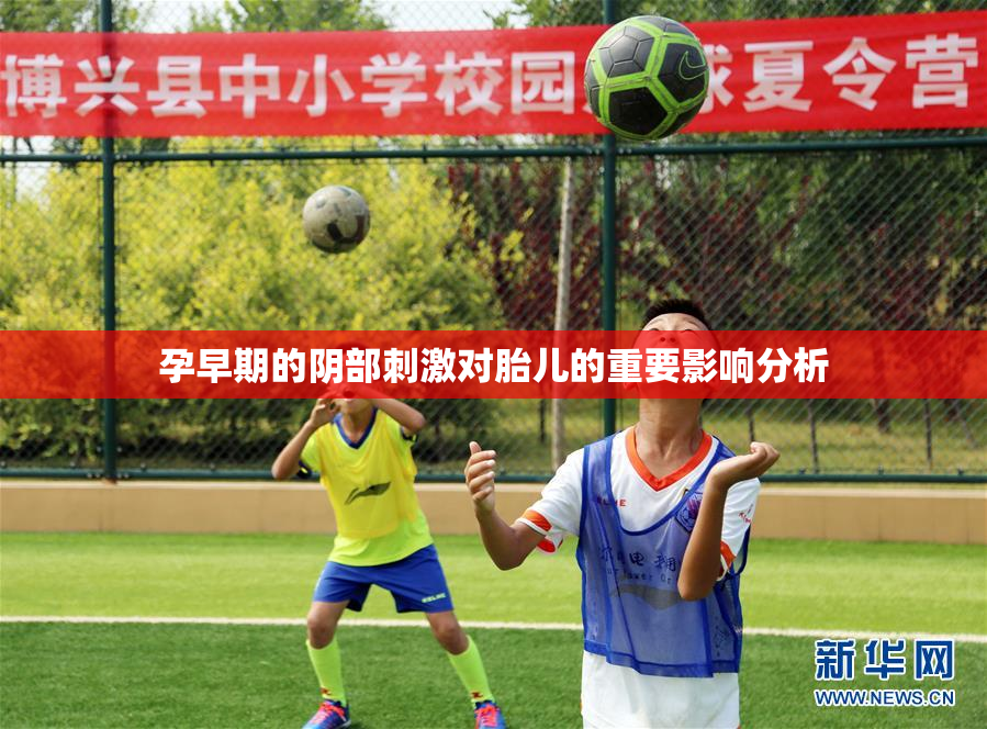 孕早期的阴部刺激对胎儿的重要影响分析